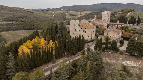 This Castle is situated near Vertine's medieval borough, in a dominant position in the heart of the Chianti Classico Region. It was constructed in white stone in early 1000 A.D. and It was considered to have been the property of Baroni Ricasoli since...