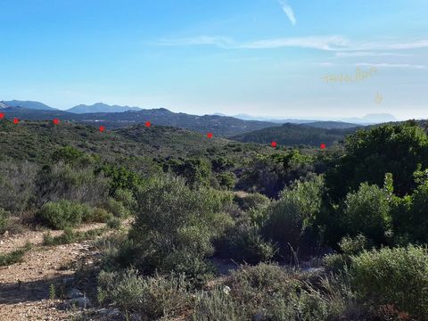Between Berchidda and Calangianus with direct access to Highway 138 SP. We offer for sale agricultural land of approximately 55 acres. The terrain in most flat and very sunny. Property supplied by a well and natural water sources. For those needing m...