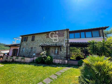 Tuscan farmhouse with swimming pool, located in a dominant position on the hills of Massarosa with panoramic views of the sea and the lake, surrounded by one and a half hectares of land. The property is accessed via a long entrance avenue, approximat...