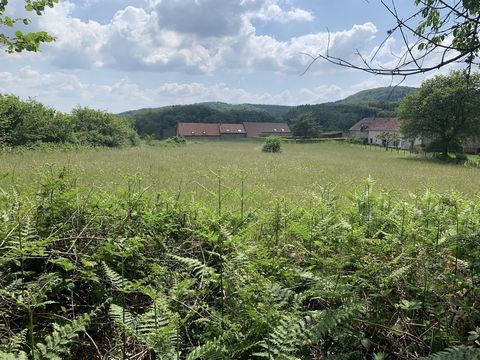 Building land of approximately 3,989 m2, serviced on the edge of the land, not overlooked, with a beautiful view. The land is 3/4 enclosed, access is by a path with a private access, close to the lake of Chaumeçon, Do not hesitate to call Marco on .....