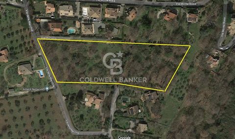Trevignano Romano, precisely in the residential area of Via della Macchia, we offer for sale a building plot of 11,000 square meters that develops the volume necessary for the construction of 5 individual real estate units, each with a perimeter gard...