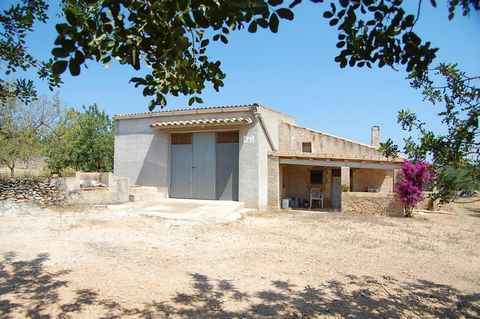 Rustic property of 25674 M2 completely flat planted with olive and carob trees Inside it has an old country house built with a porch attached to a warehouse that adds up to a total of 101 M2 In addition a few meters away there is a second warehouse o...