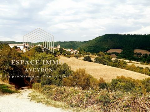 Espace Immo Aveyron vous propose au cœur du joli village du Viala-du-Tarn, entouré de nature et dominant la vallée du Tarn, venez découvrir cet ensemble immobilier comprenant : - une maison de village en pierre d'environ 130 m2 habitable et 178m2 au ...