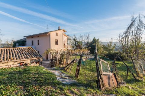 FIRST FLOOR APARTMENT IN MONDAVIO Located in Montericco, in the municipality of Mondavio, a first floor apartment is for sale consisting of a kitchen, a living room, two spacious bedrooms and a bathroom. Furthermore, there is a space on the upper flo...