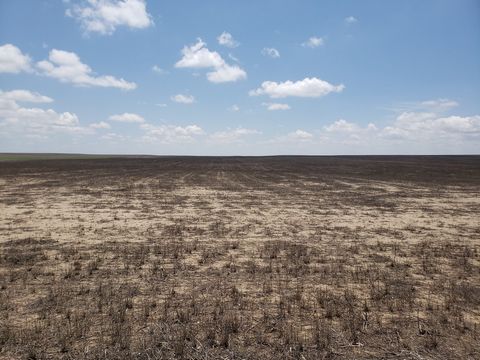 Wright's Farm and Ranch Parcel 6 is a 220 +/- acre parcel of dryland farm ground. This parcel has a crop share lease for the 2023 crop season with the owner's share going to the Buyer. This parcel would be a great opportunity to add to your investmen...
