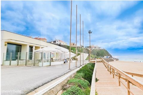 Santa Cruz, praia com bandeira azul, fica apenas a uma hora de Lisboa e é uma área em franca expansão  (que se intensificará muito com a conclusão da via rápida prevista para Santa Cruz), seja pela sua importância agrícola, como turística. A nível tu...