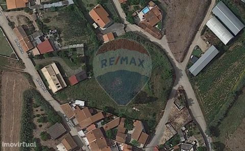 Land for construction, with 4280 m2 in the center of Marteleira, Lourinhã. With excellent location and unobstructed views, this land allows the construction of 8 to 12 villas, depending on project, according to information obtained from the Municipal...