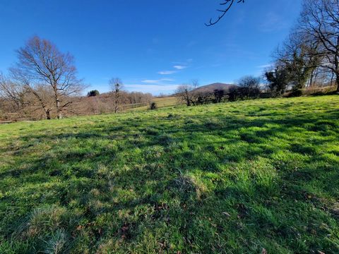 20 minutes from Foix. Building land of 1030 m² flat with viability on the edge and mains drainage also on the edge. South facing on a plateau with a clear view. Information on the risks to which this property is exposed is available on the Georisks w...
