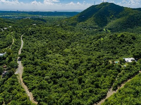 Welcome to your tropical oasis - a stunning 16+ acre property located at the intersection of Canaan Road and Scenic Drive. This property offers a unique and tranquil rainforest vibe with breathtaking Caribbean Sea views from the top. This is an incre...