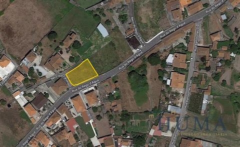 Land in Murtosa, with feasibility of construction. It is located in a quiet area, close to the river beach of Bico da Murtosa, and with easy access to services and commerce. Want to know more, talk to us!