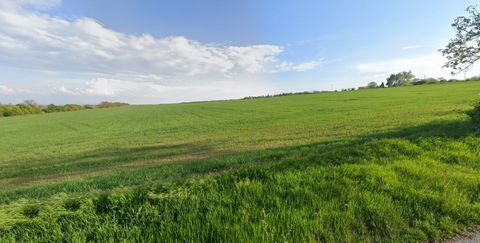 Excellent Plot of land for sale in Plave Vozokany Slovakia Esales Property ID: es5553992 Property Location Plave Vozokany Slovakia Asking Price is €20,000,000 for 275,379 m2 (€72.6) (+approx. 80,000 m2 of side and side streets, retained in the total ...