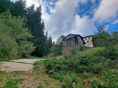 Tel: ... ; ... /Wij bieden onder uw aandacht een oud Rhodope stenen huis met drie verdiepingen samen met een bijgebouw van twee verdiepingen in het prachtige Rhodope dorp Stoykite.In een rustige, vredige en fantastische plek naast een naaldbos en een...