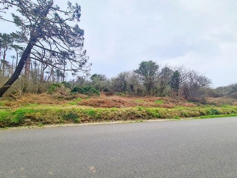 CROZON, secteur Montourgard, idéalement situé à proximité des commerces, plage de Morgat et Bois du Kador, Venez découvrir ce terrain de 818m² environ en friche et arboré, en zone naturelle sensible (ne peut être bâti). Non viabilisé, ni électricité,...