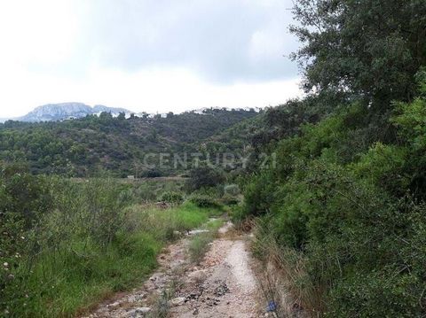 Vous cherchez à acheter un terrain à vendre à Dénia (Alicante) ? Grande opportunité d’acquérir ce terrain agricole rustique à vendre situé à Dénia, Alicante. L’accès à la terre se fait par des routes rurales en terre compactée et goudronnée. Le domai...