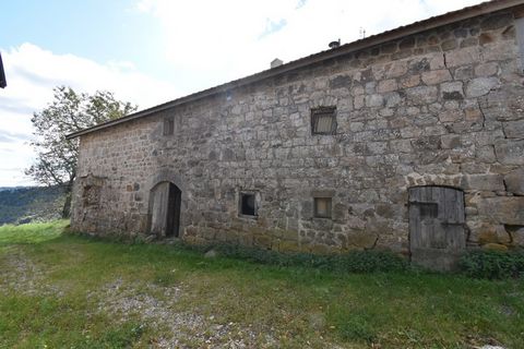 photo no. 2