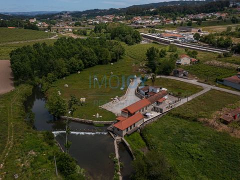 Charme, geschiedenis en modern comfort in de Sousa-vallei Deze boerderij in Vale do Sousa ligt op slechts 3,7 km van het historische stadje Penafiel en biedt de perfecte balans tussen de rust van de natuur, traditie en moderne voorzieningen. Het gebo...