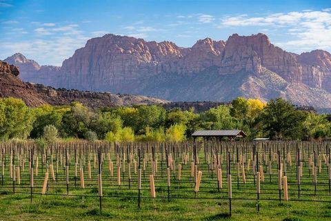 Ein brandneuer privater Weinberg auf 11,5 Hektar in Rockville, UT. Drei exklusive Ferienhäuser bieten einen atemberaubenden Blick auf den majestätischen Zion-Nationalpark. Jeder der 3 exklusiven, unterschiedlichen Standorte wurde aufgrund seiner Priv...