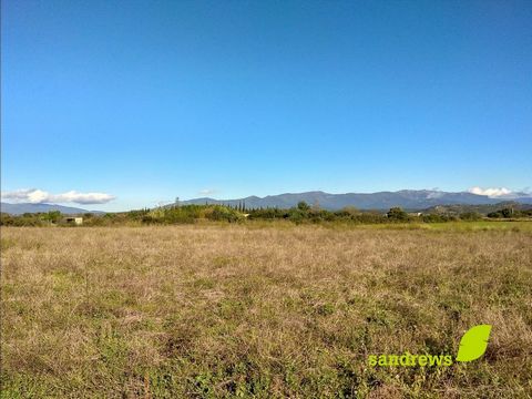 Parcela agraria ubicada a las afueras de la población de Cabanes. Consta de 7.595 m2, destinada a campo. Ubicada en una zona de fácil acceso siendo un terreno completamente llano y dispone de la posibilidad de riego de agua de canal. Para más informa...