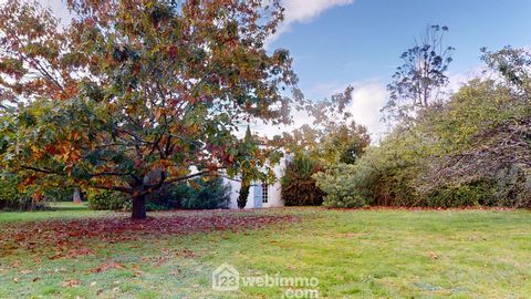 photo no. 16