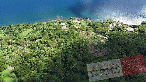 * Exklusives Inserat nur bei Profis zu finden! * ACHTUNG ENTWICKLER -- natürlicher Regenwald auf Fidschis drittgrößter Insel Taveuni, auch 