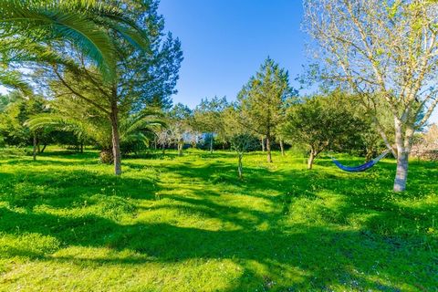 The luxuriant garden of this country house offers a surprising beauty and liveliness. So, any time becomes the perfect moment to enjoy the sun beams while having breakfast at the porch. There are 5 sun loungers available as well as a hammock where yo...