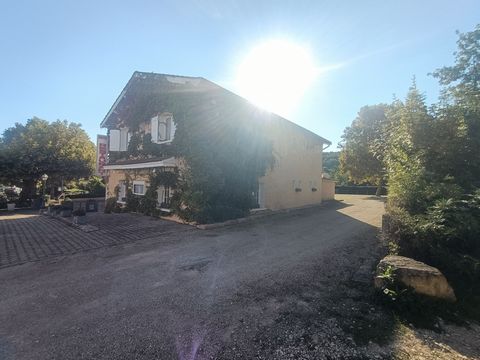 photo no. 10