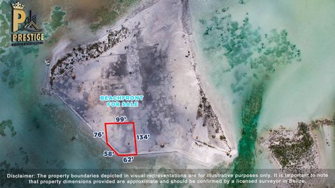 Large Beachfront lot opportunity North, of Secret Beach, San Pedro Belize, it’s a short boat ride north of the famous Secret Beach. This beach lot provides endless opportunities and upside as the growth and development of the area continue to rise in...