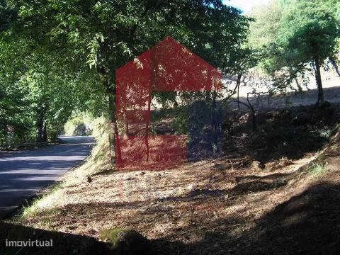 For sale Land in Covas with 3250m2 in Covas, Vila Verde! Land located in production forest; Good access to face with national road towards Ponte da Barca; Excellent sun exposure! Come and Live in Vila Verde! Inserted in the heart of fantastic green l...