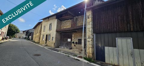 photo no. 4
