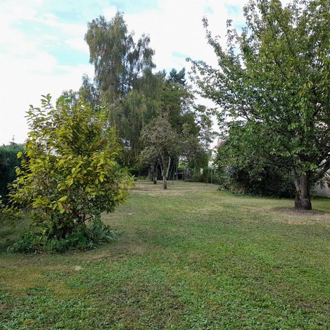 photo no. 9
