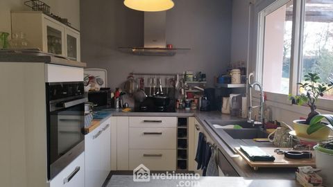 photo no. 12