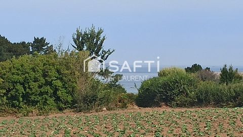 photo no. 12