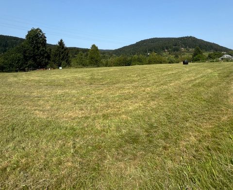 photo no. 1
