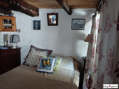 photo no. 4