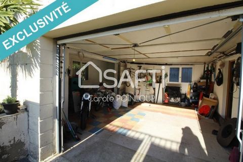 photo no. 11
