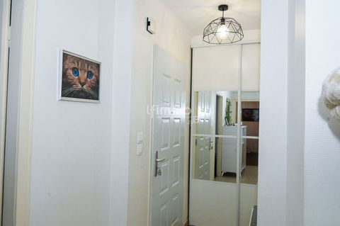 photo no. 8