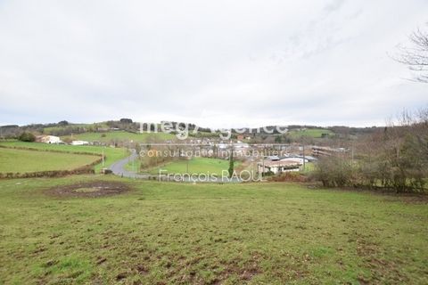 photo no. 1