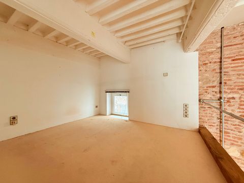 photo no. 4