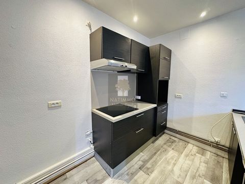 photo no. 6