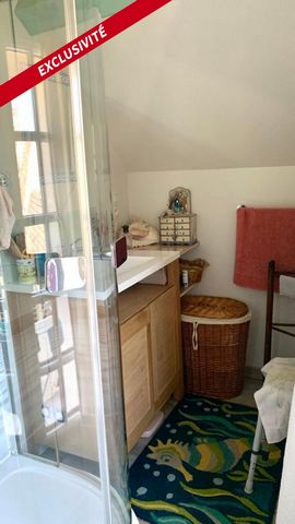 photo no. 11