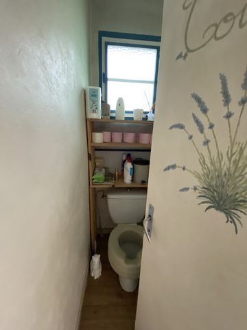 photo no. 15