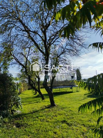 photo no. 13