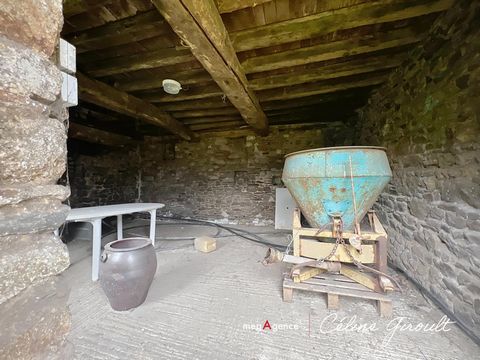 photo no. 10