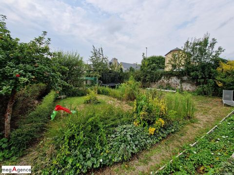 photo no. 8