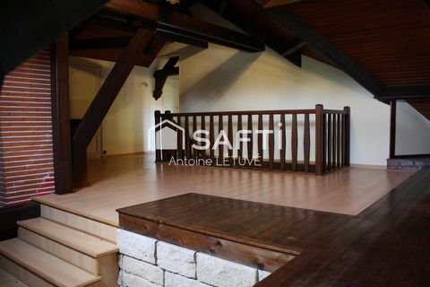 photo no. 11