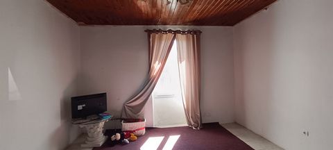 photo no. 4