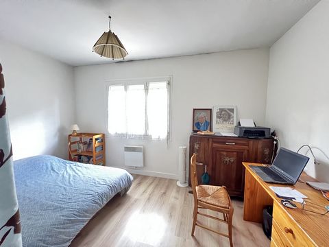 photo no. 7
