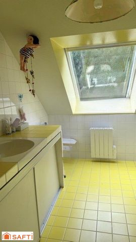 photo no. 13