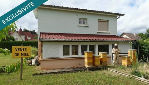 photo no. 2