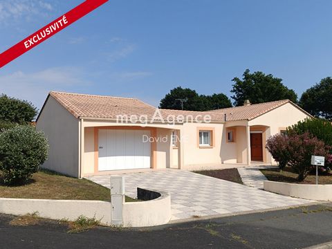 photo no. 13